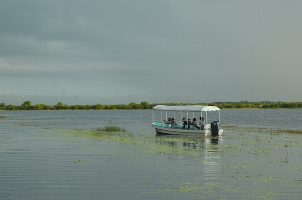 Boat Tour at Crooked Tree Wildlife Sanctuary